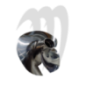 Impeller Dynafly,  X2-800  / SXR-800 (impeller modified)
