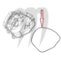 Carter gasket Ignition,1200cc
