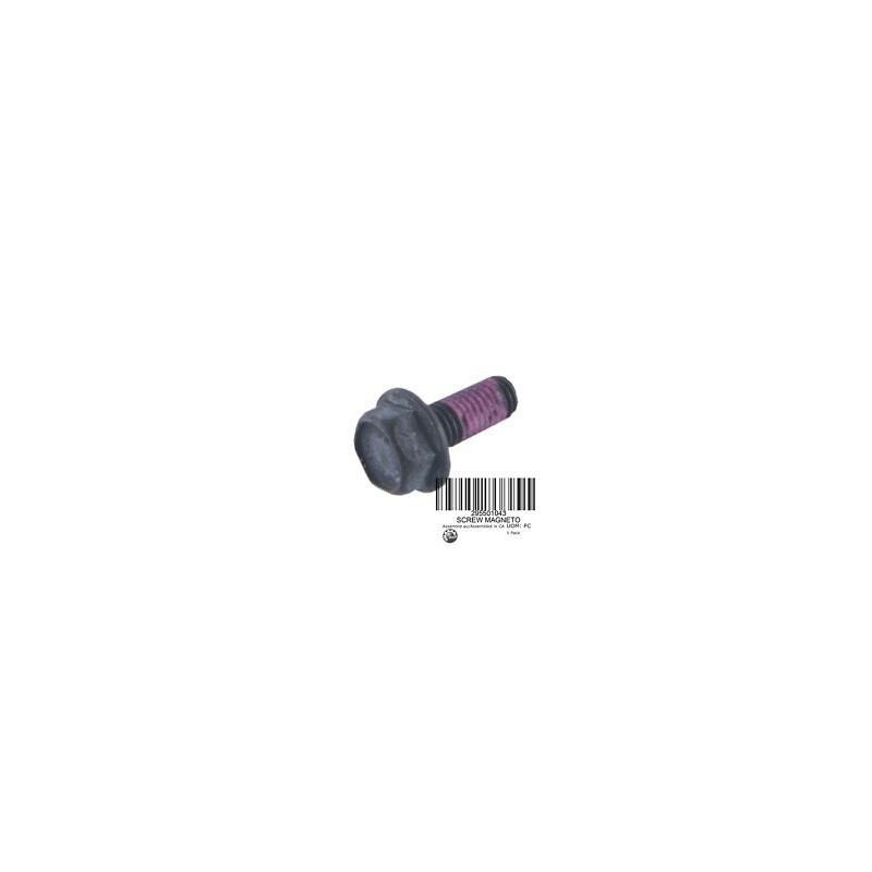 Vis volant moteur