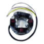 Stator Seadoo GS /GSI /GTI /GTS /HX /SP /SPI /SPX /XP