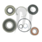 JET PUMP REPAIR KIT  , 750-ZXI .900-STS . 900-STX . 900-ZXI