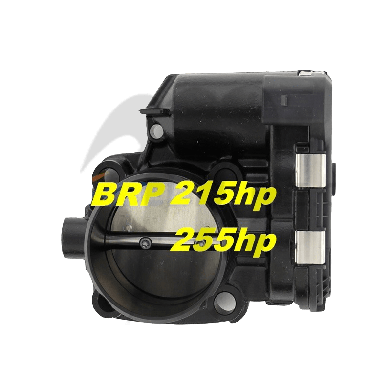THROTTLE BODY