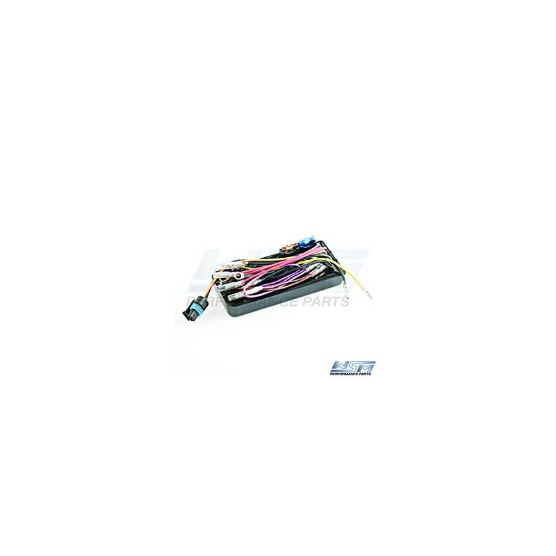 CDI Box, SP/SPI 580cc .  XP 650cc