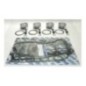 Kit pistons premium Kawasaki STX-15F (Cote +0.25mm)