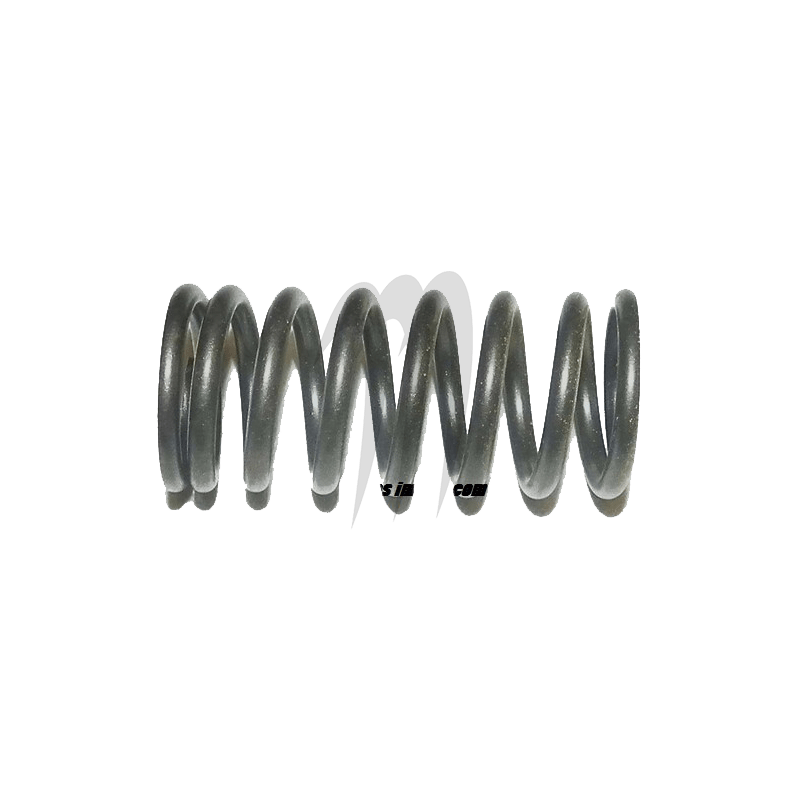 Ressort De Soupape (int) Seadoo 1503cc Ressort De Soupape (int) Seadoo 1503cc