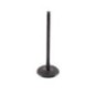 Intake valve