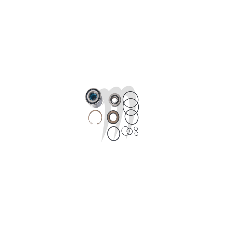 JET PUMP REPAIR KIT  , GTX