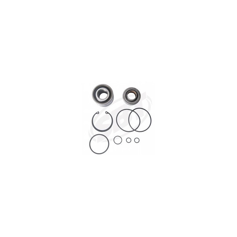 Roulements de turbine pour Seadoo GTX 4-TEC/ GTX 4-TEC SC/ Utopia SBT