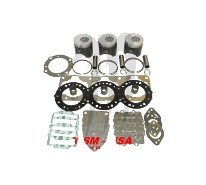 WSM USA . Kit Plunger Platinum, Kawasaki 1100cc DI ( + 0.25mm )