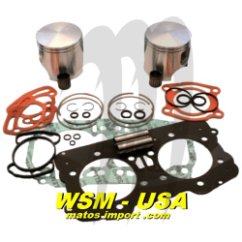 WSM USA Plungers Kit Platinum Sea Doo 951 DI ( + 1mm ) Matos import