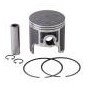 WSM USA . Plunger Platinum
